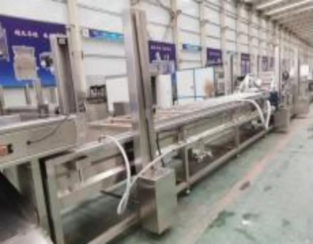 картинка Линия мойки, очистке и резки овощей от магазина Метасила