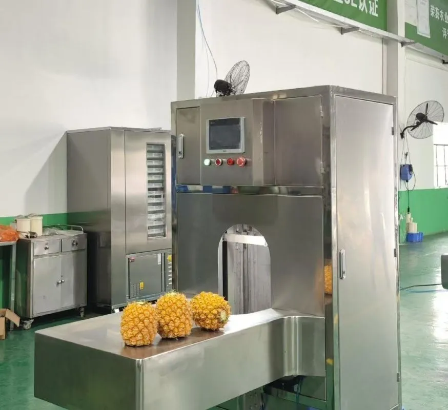 картинка Автоматическая машина для чистки фруктов SWL654 от магазина Метасила