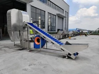картинка Линия мойки и сушки сухофруктов T78 от магазина Метасила