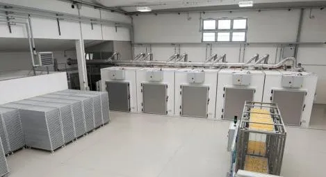 картинка Линия по производству макарон (200 кг/ч)  от магазина Метасила