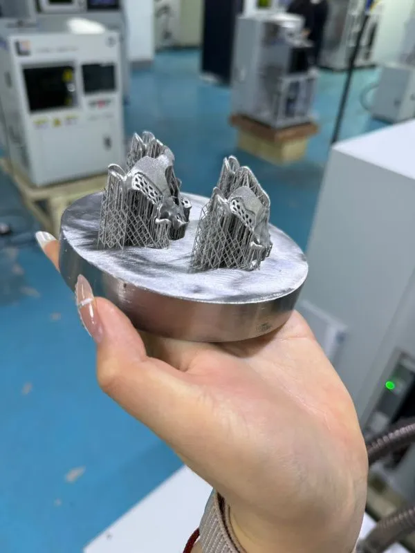 картинка SLM-3D-принтер для печати титановых изделий, модель 1210*80 мм от магазина Метасила