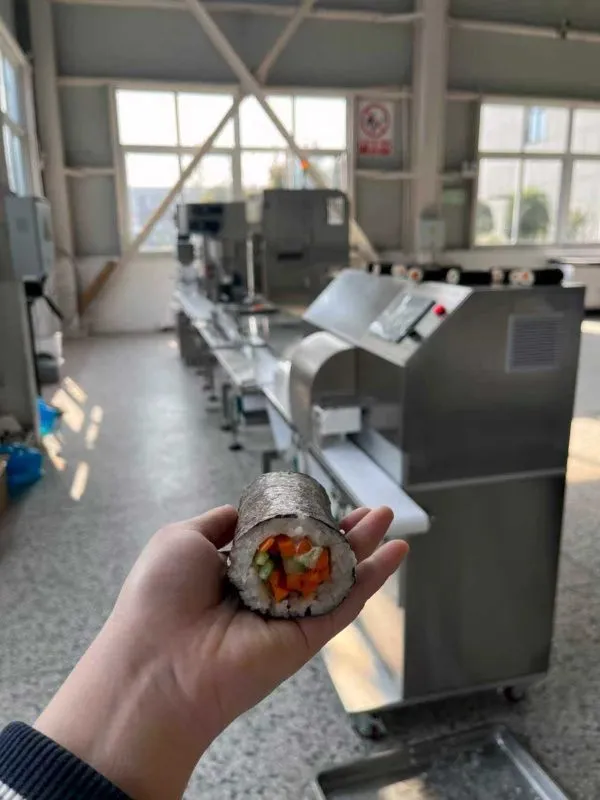 картинка Автоматическая линия по производству роллов LT100 от магазина Метасила