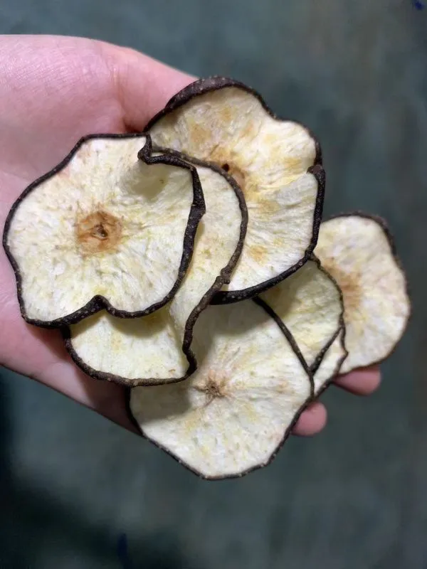 картинка Четырехслойная сушильная машина DSK80 от магазина Метасила