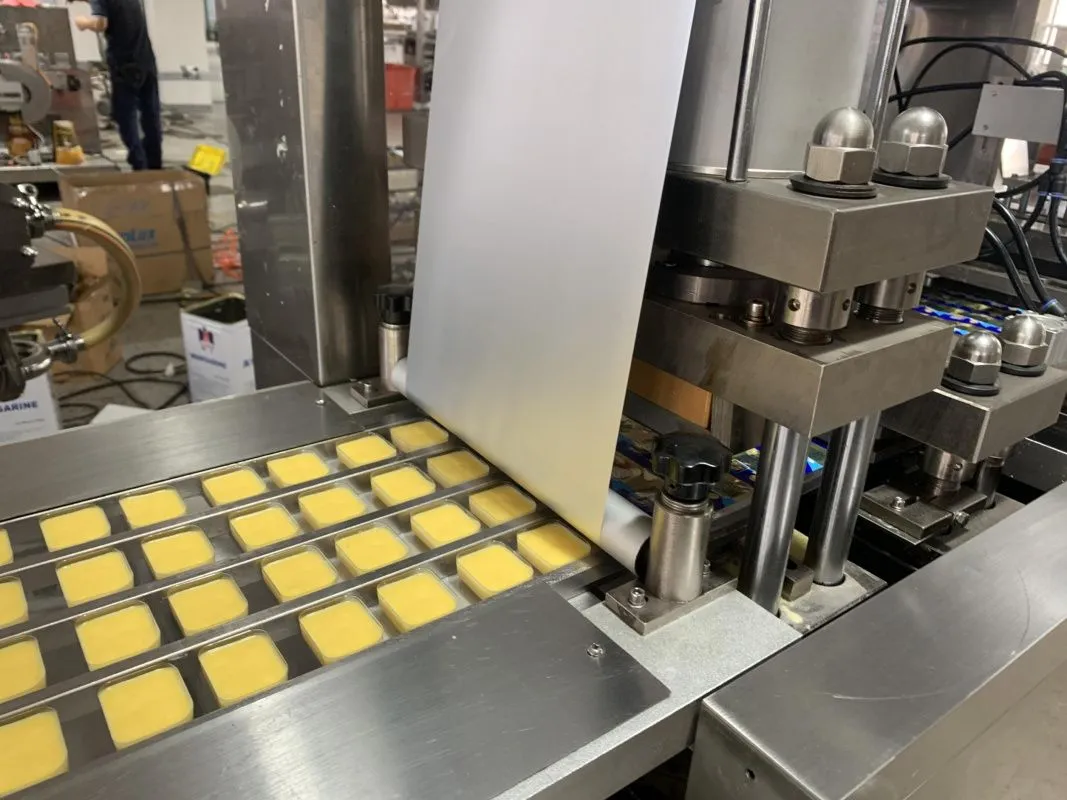 фото Станок для упаковки масла в Дип Пот (модель DNB140) от магазина Метасила