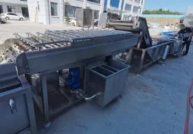 картинка Линия мойки и сушки сухофруктов T78 от магазина Метасила