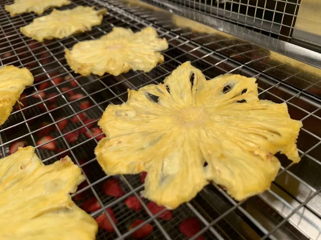 картинка Четырехслойная сушильная машина DSK80 от магазина Метасила