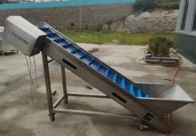 картинка Линия мойки и сушки сухофруктов T78 от магазина Метасила