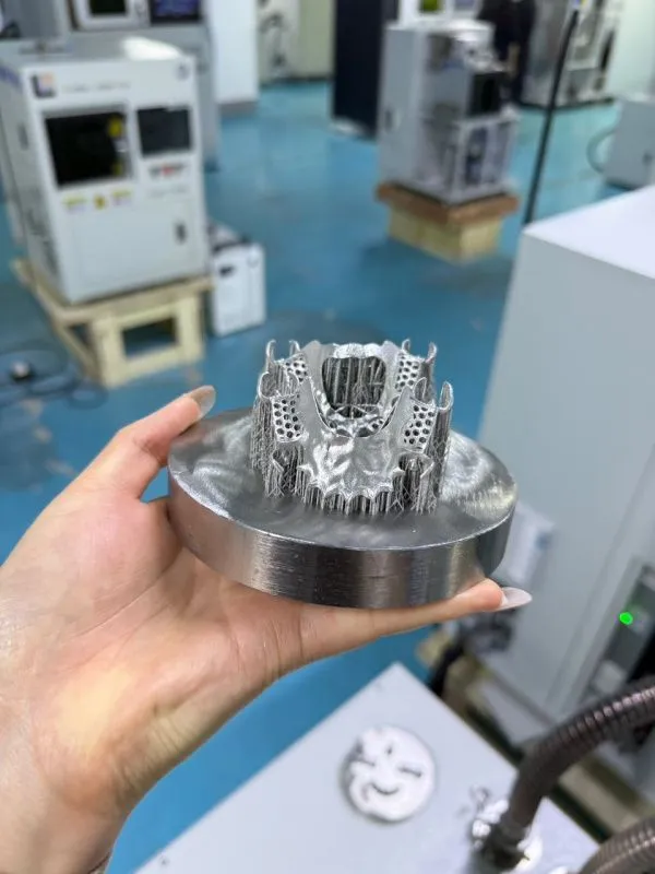 картинка SLM-3D-принтер для печати титановых изделий, модель 1210*80 мм от магазина Метасила