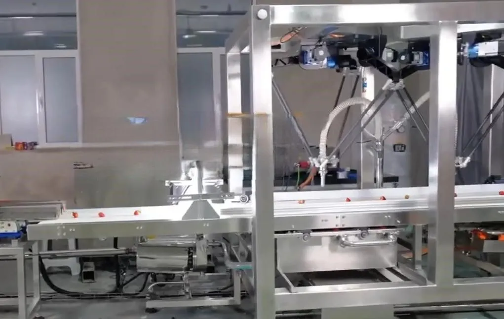 картинка Полностью автоматическая машина для удаления листьев от ягод клубники W12SD (с 2 роботами) от магазина Метасила