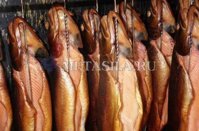 картинка Коптильня 1000 кг (модель снята с производства) от магазина Метасила