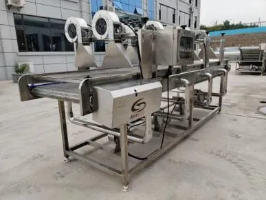 картинка Линия мойки и сушки сухофруктов T78 от магазина Метасила
