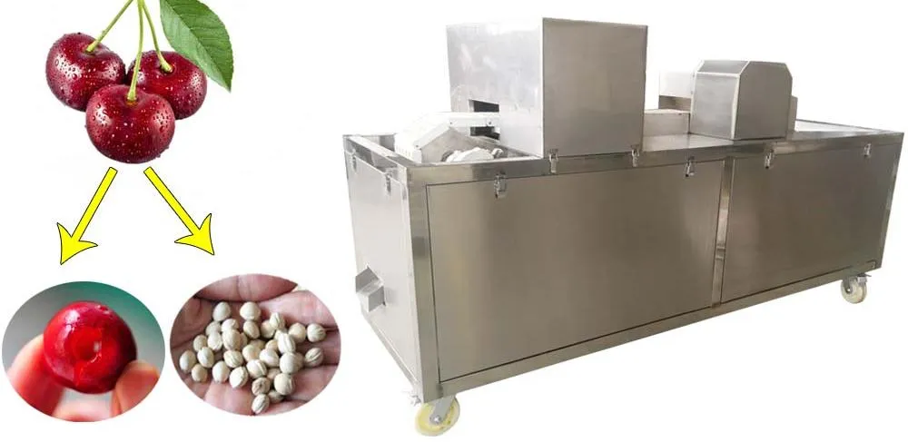 картинка Станок для удаления косточек из вишни TN100 от магазина Метасила