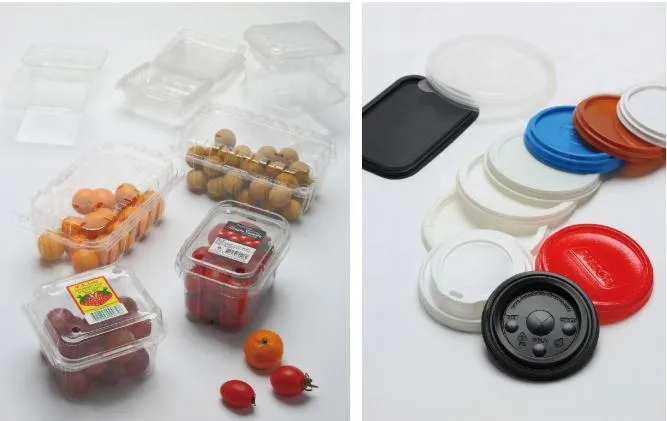 картинка Линия для производства пластиковых контейнеров DFR-800 от магазина Метасила