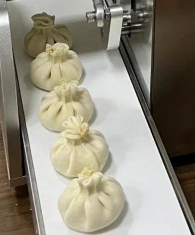 картинка Машина производства хинкали DE-81 от магазина Метасила