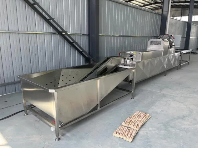 картинка Полностью автоматическая линия для мойки куриных яиц Z21X от магазина Метасила