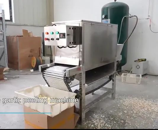 картинка Станок цепного типа для очистки чеснока от шелухи (600 кг/ч) от магазина Метасила