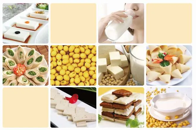 картинка Линия по производству сыра тофу R-256 от магазина Метасила