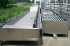 картинка Линия переработки и шоковой заморозки фруктов (производительность 500 кг/ч) от магазина Метасила