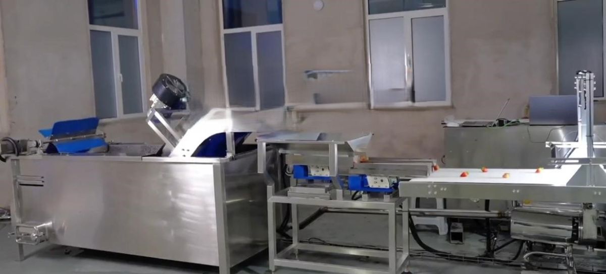 картинка Полностью автоматическая машина для удаления листьев от ягод клубники W12SD (с 2 роботами) от магазина Метасила