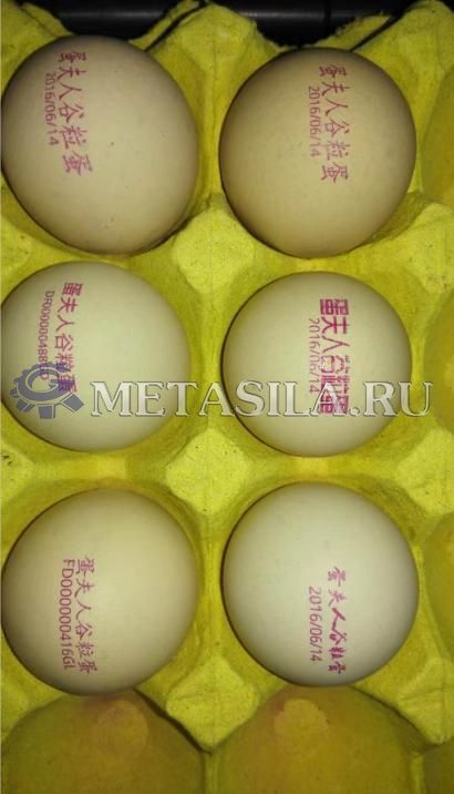картинка Станок для маркировки яиц  от магазина Метасила