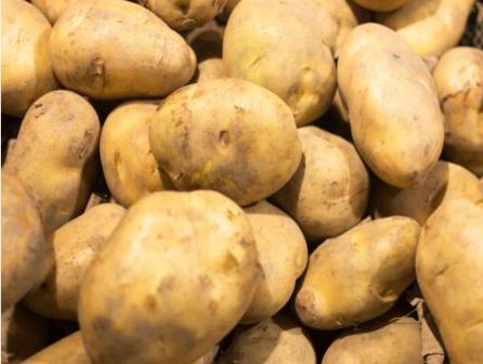 картинка Линия по производству картофельного крахмала  от магазина Метасила