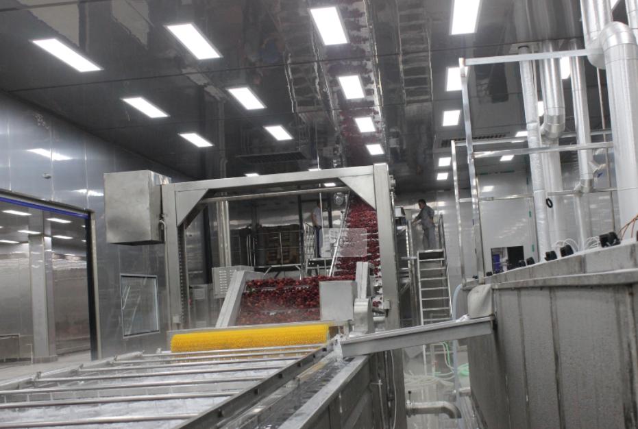 картинка Линия переработки и шоковой заморозки фруктов (производительность 500 кг/ч) от магазина Метасила