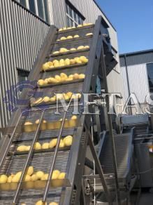 картинка Автоматическая линия по производству замороженного картофеля фри W-55  от магазина Метасила