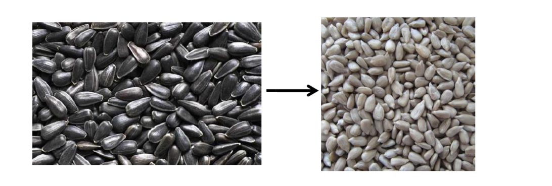 картинка Станок для лущения семян подсолнечника KIG-06 от магазина Метасила