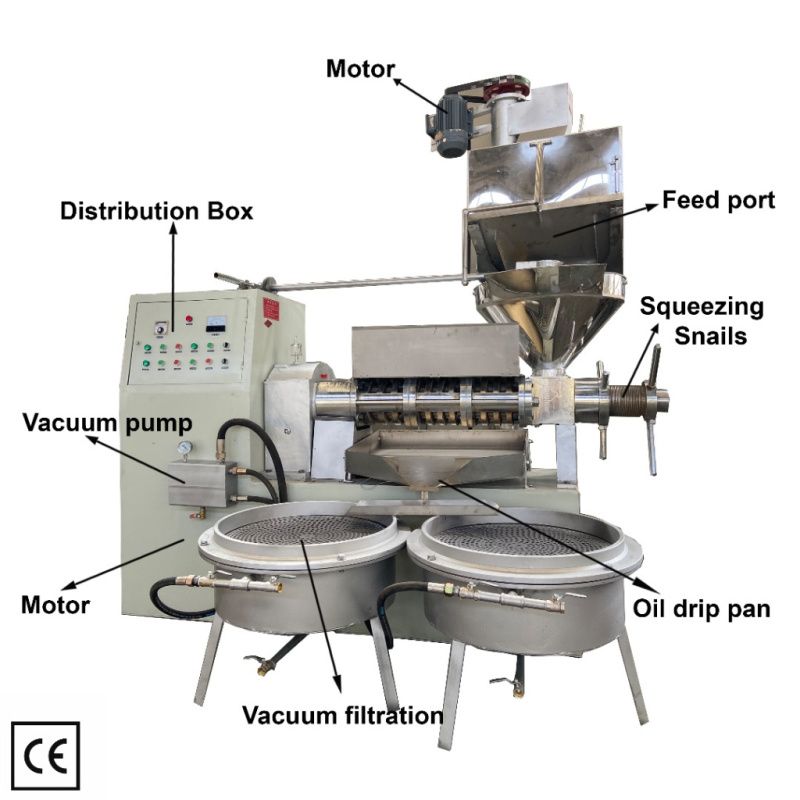 WhatsApp Image 2025-11-13 at 10.25.50.jpeg