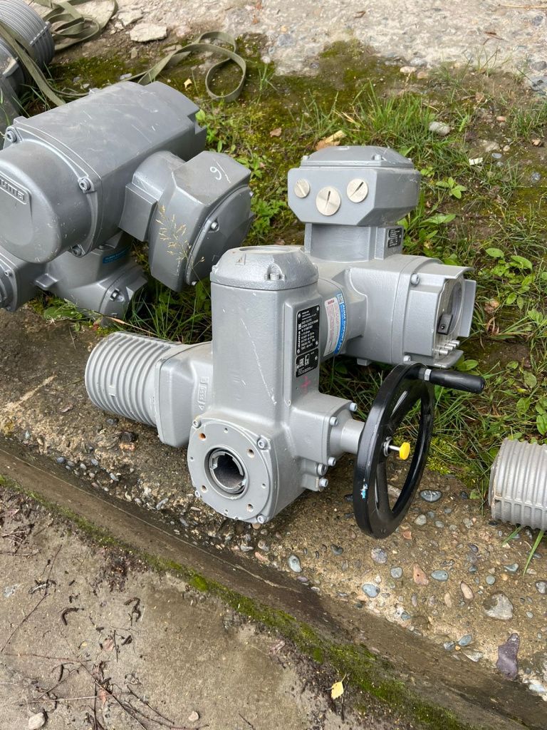 WhatsApp Image 2023-08-14 at 11.29.36.jpeg