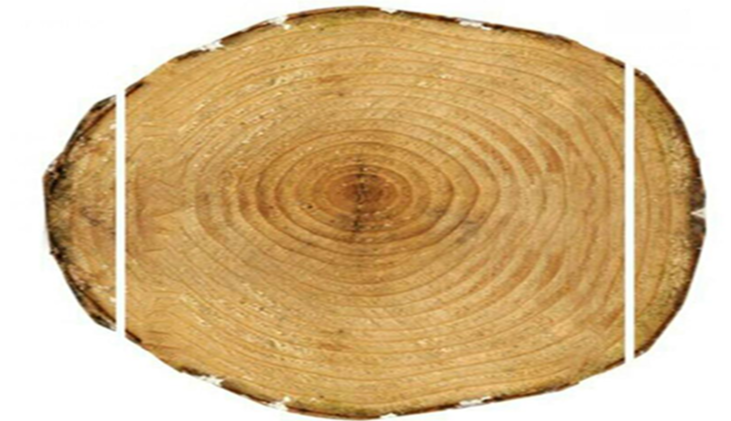 картинка Вертикальный ленточнопильный станок для распиловки бревен, модель A300  от магазина Метасила