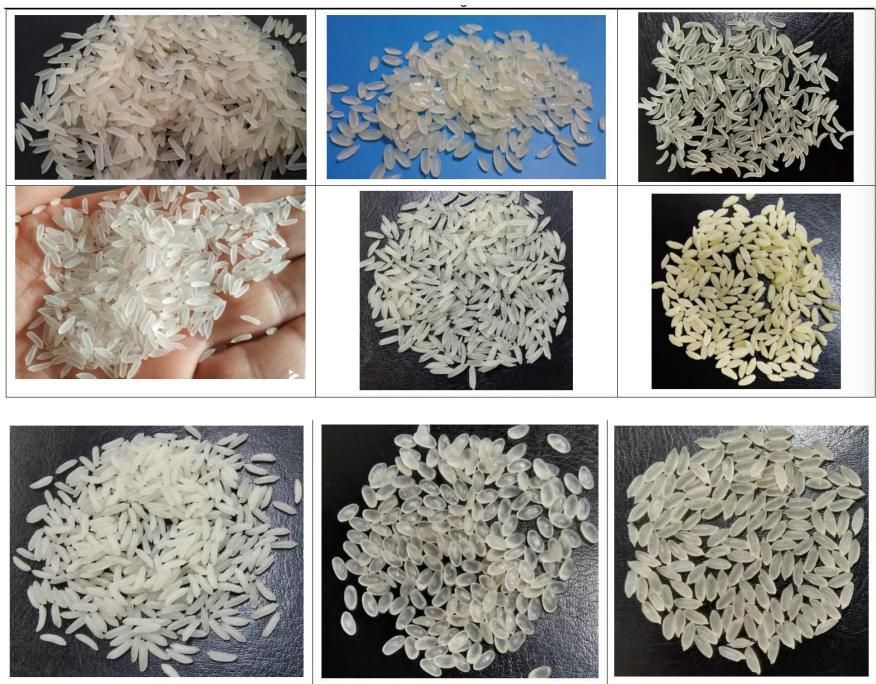 картинка Линия по производству искусственного риса (500 кг в час) от магазина Метасила