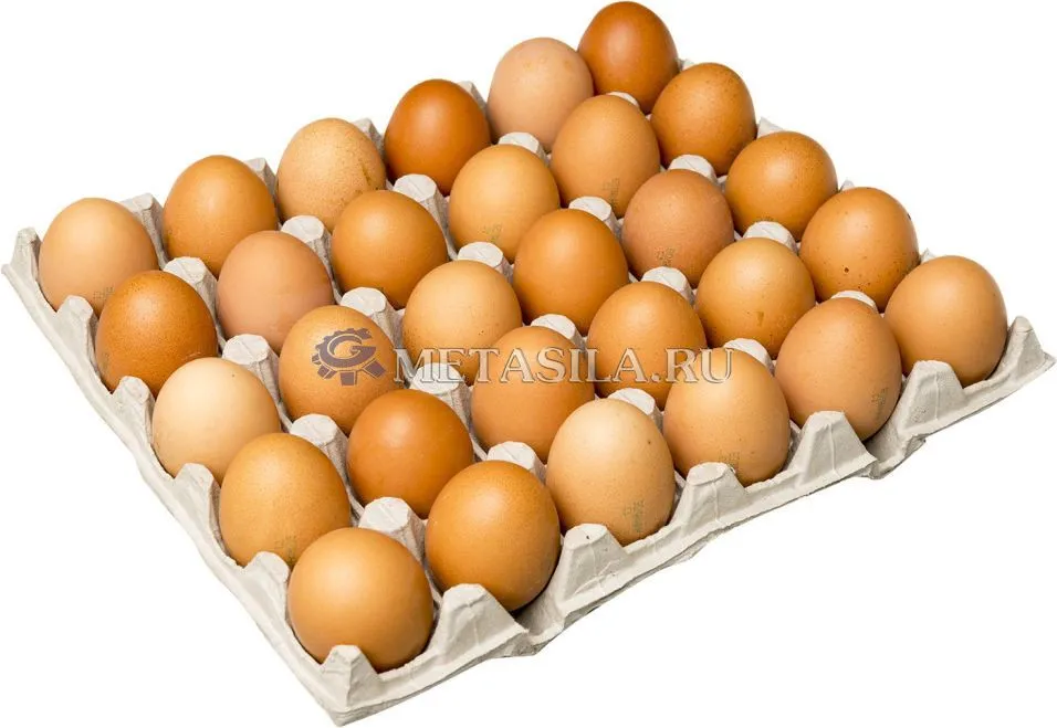 картинка Станок по изготовлению лотков для яиц 4000 шт / ч с кирпичной сушилкой  от магазина Метасила