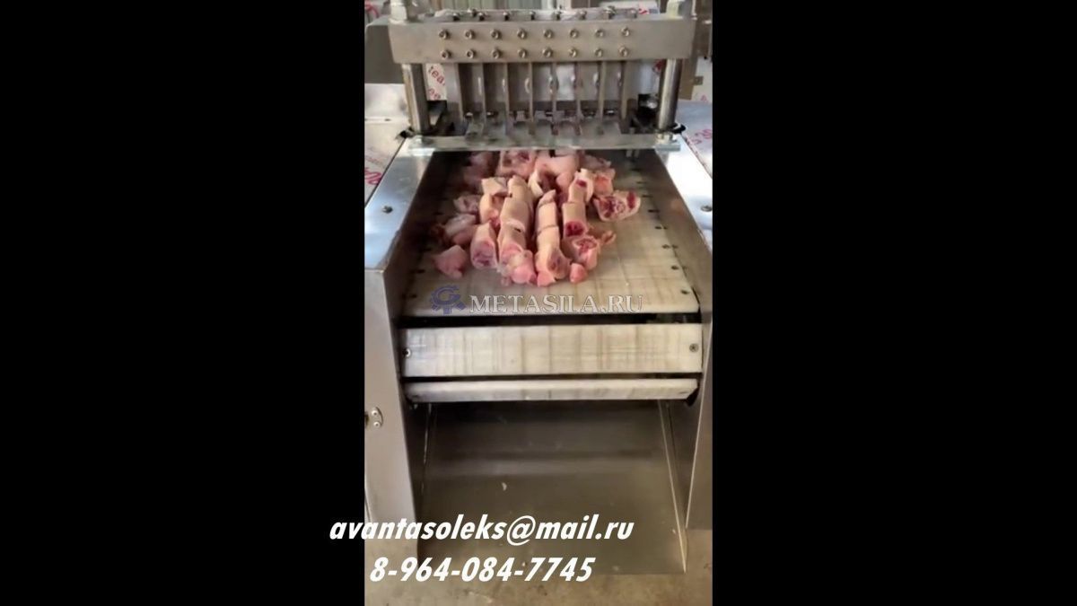 картинка Автоматический аппарат для резки замороженного и свежего мяса, костей, овощей и рыбы RAI-2124  от магазина Метасила